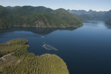 What’s New in Aquaculture: UBC Update January 2022